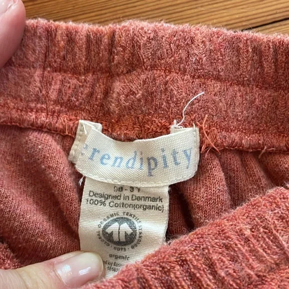 Serendipity Organics Terry Sweatsuit. 3T/4T - Picture 4 of 4